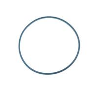 Pompa Benzina Carburante Per Citroen Per C4 C5 C3 Coperchio Pompa Carburante Pompa Benzina Anello Di Tenuta 153129 153130 Per Peugeot 206 307 308 408 508 407 3008(Sealing ring)