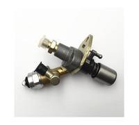 Pompa Benzina Elettrica Per 165F 170F 178F 186F 188F 178FA 186FA 188FA 190F 192F 186FD Pompa Iniettore Carburante Ricambi Generatore Elettrico(178f)