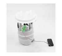 Pompa Benzina Elettrica Per P&eugeot 206 308 308CC 308SW 406 Per C4 9674971380 347280 1525KH E10366M 1525. Pompe Di Alimentazione Del Carburante CV