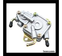 Pompa Benzina Per Manco Talon 260 300 ATV UTV NUOVA
