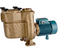 Pompa Bronzo PISCINA con filtro Calpeda BNMPM 50/12GE 1,5kW 54m3/h Autoadescante