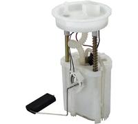 Magneti Marelli Pompa carburante 313011313022 – Modulo alimentazione carburante per VW/SEAT