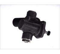 Pompa Carburante - BOSCH 0 440 008 089 - 0440008089