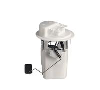 Pompa carburante elettrica 9804076880 Gruppo pompa carburante adatto per Puegoet 308S 308 408 T9 4008 1.2/1.6T Doppio Filtro