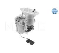 Gruppo di erogazione del carburante MEYLE 100 919 0118