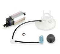 DELPHI FE0795-12B1 Pompa carburante
