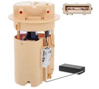 DELPHI Pompa carburante FE10143-12B1 per Citroën Xsara, Xsara Coupé, Xsara Picasso (N68 N2 N1)
