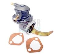 Pompa carburante HOFFER per Rover