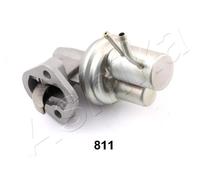 Ashika Ashika 05-08-811