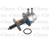 Pompa carburante meccanico V25-8117 VAICO per FORD TRANSIT Autobus