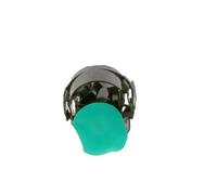 Bosch Pompa carburante 0 580 314 123 Elettrica per BMW