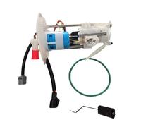 Pompa Carburante Per Mercury Per Mountaineer V6-4.0L V8-4.6L 2006 2007 2008 2009 Modulo Pompa Carburante 12V E2454M Gruppo Pompa Carburante