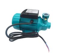 Pompa Centrifuga A Vortice Ad Alta Prevalenza Solare Da 12 V/24 V/48 V CC, Autoadescante, Con Batteria, For Acqua Pulita(48V)
