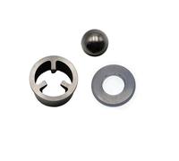 Pompa con gabbia a sfere in carburo di tungsteno 198505 adatta for spruzzatore di vernice airless 7900 GH200 GH300-