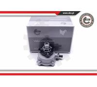 Pompa da Vuoto Pompa sotto Pressione Skv per BMW 1 3 5 6 7 Z4; 11667519457