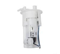 Pompa del carburante ad alta pressione T2403892 per flusso affidabile di | Pompa carburante ad alta pressione T2403892 per flusso affidabile del trionfo 1050