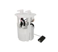 Delphi Pompa del carburante FG2461-12B1 per Peugeot e BMW