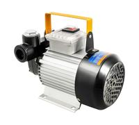 Pompa del carburante diesel, 550 W, pompa diesel elettrica, 220 V, portata 60 l/min, con filtro per camion, barche e fattoria, robusta pompa di trasferimento in ghisa per gasolio