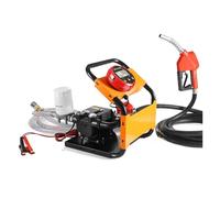 Pompa del Carburante, Erogatore di carburante 12V/24V/220, pompa for gasolio a grande portata montata su veicolo, piccolo gruppo di dosaggio e determinazione dei prezzi(DC24)