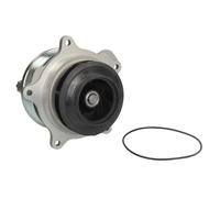 Pompa del refrigerante DOLZ DOLZ D323