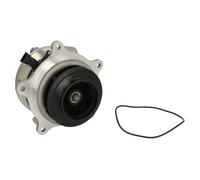 DOLZ D324 Pompa acqua