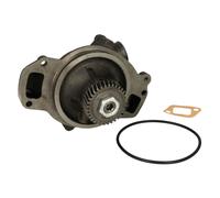 DOLZ E120 Pompa acqua