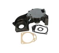 Pompa del refrigerante DOLZ I126