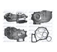 Pompa del refrigerante DOLZ M666