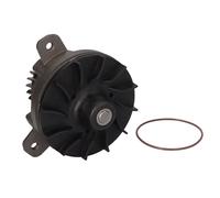 Pompa del refrigerante DT Spare Parts 2.15244