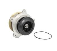 FEBI BILSTEIN 49058 Pompa acqua