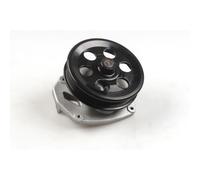 Pompa del refrigerante HEPU P392
