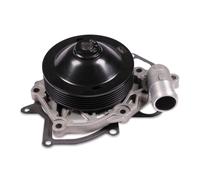 Pompa del refrigerante HEPU P596