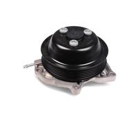 Pompa del refrigerante HEPU P694