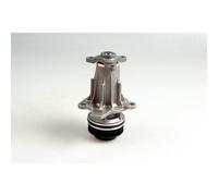 HEPU P7420 Pompa acqua