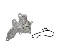 HEPU P7858 Pompa acqua