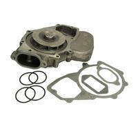 010.702-00A Pompa Acqua Adatto A per Man, Mercedes-Benz