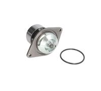 Pompa Del Refrigerante - THERMOTEC WP-CM101