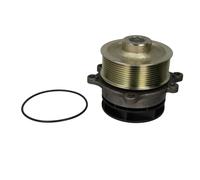 Pompa del refrigerante THERMOTEC WP-IV111