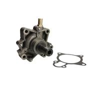 Pompa del refrigerante THERMOTEC WP-IV123