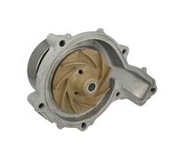 THERMOTEC WP-VL117 Pompa acqua