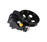 Pompa del servosterzo 20-65990 con puleggia e serbatoio compatibile con Buick Rainier, Chevrolet Trailblazer, GMC, accessori per auto