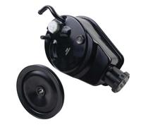 Pompa del servosterzo AP02 con puleggia a gola singola compatibile con BBC SBC Saginaw Style