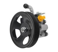 Pompa del servosterzo con puleggia 21-5449 AAZ215449 57100-2E100 compatibile con Tucson SE 2007-2009