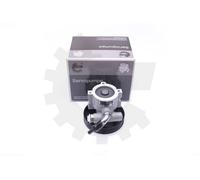 Pompa Del Servosterzo Esen Skv 10SKV250 Citroën Xsara; 2.0 HDI; 9635445780