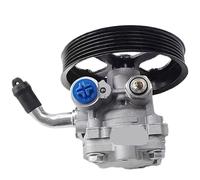 Pompa del servosterzo for ricambi auto49100-79K00 4910079K00