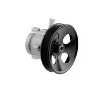 NTY SPW-PL-006 Pompa idraulica, sterzo