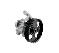 Pompa Del Servosterzo, Idraulica per Lenku Adatto A Citroen Jumper 2.0HDI, 2.2HD