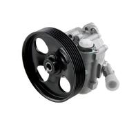 NTY SPW-CT-012 Pompa idraulica, sterzo
