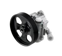 Pompa servosterzo idraulico con puleggia multipla SPW-CT-012 NTY per PEUGEOT