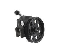 NTY Pompa idraulica, Sterzo compatibile con FORD SPW-FR-024